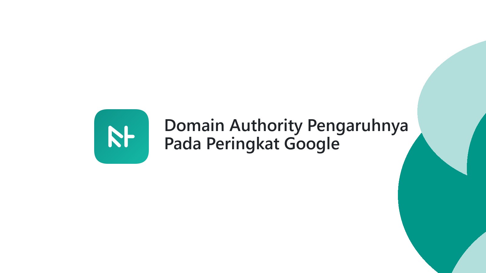 Domain Authority Pengaruhnya Pada Peringkat Google