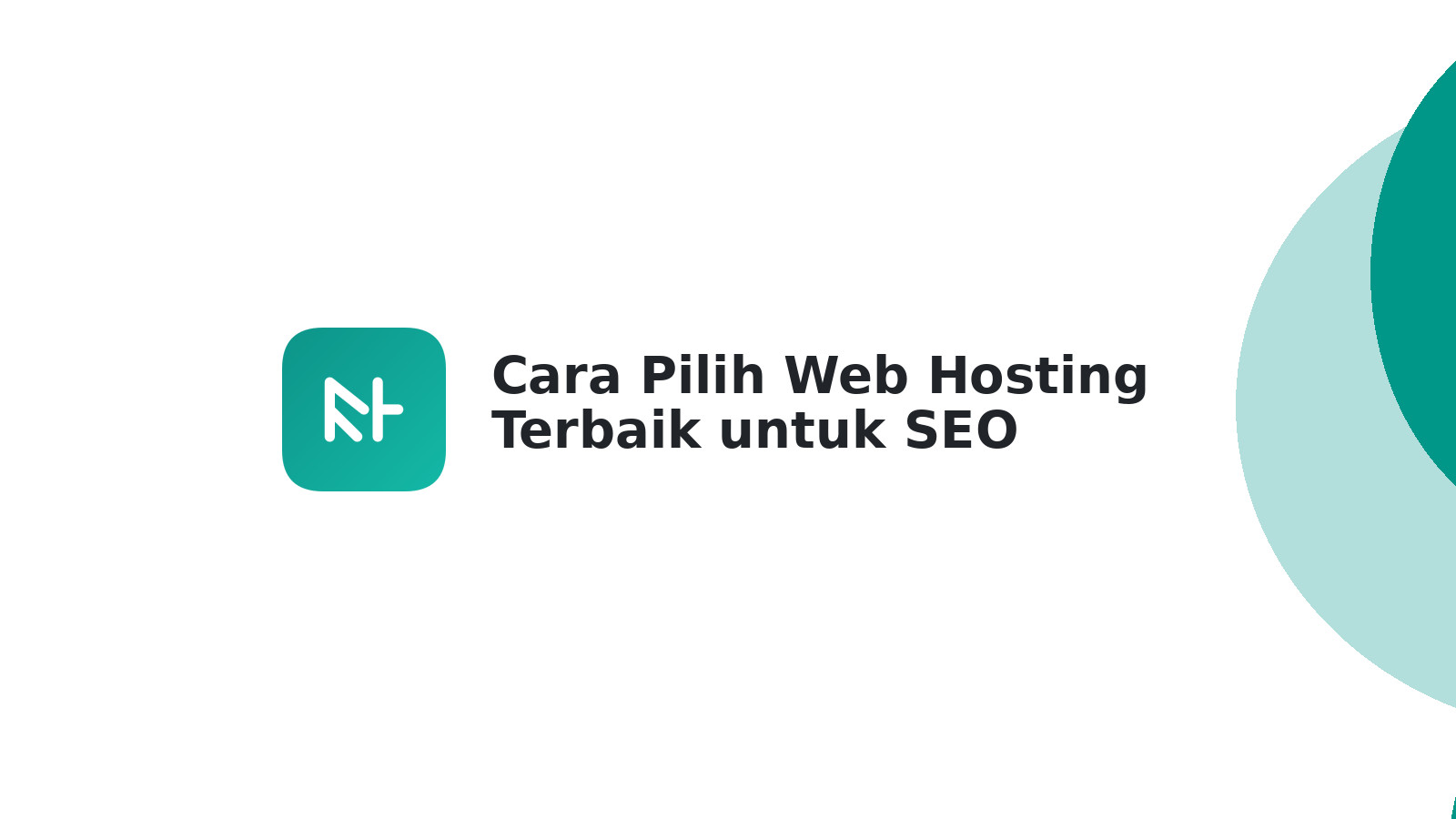 Cara Pilih Web Hosting Terbaik untuk SEO Sukses Cuan