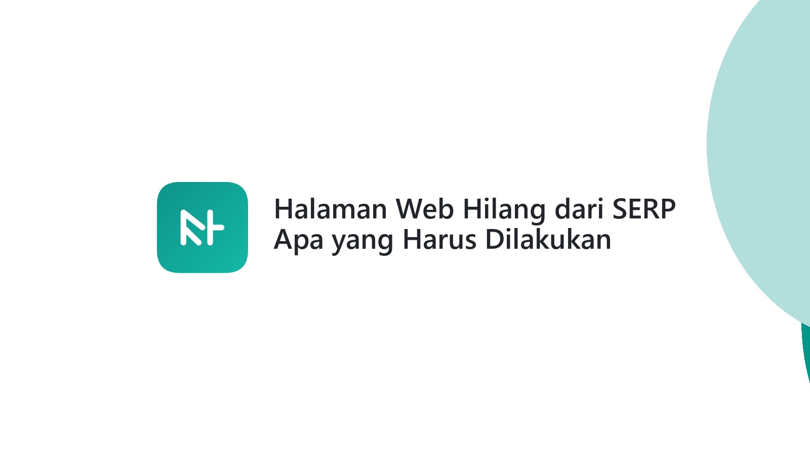 Halaman Web Hilang dari SERP Apa yang Harus Dilakukan